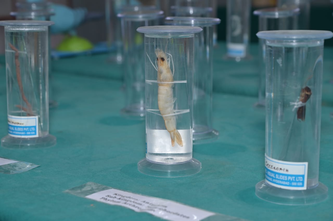Science Lab